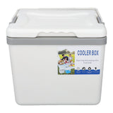 6L Portable Cooler Box Large Capacity Multifunctional Keeps Food Freshness and Drink Cool Insulated Hard Cooler Case for Ice Drinks Food White