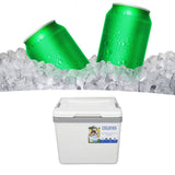 6L Portable Cooler Box Large Capacity Multifunctional Keeps Food Freshness and Drink Cool Insulated Hard Cooler Case for Ice Drinks Food White