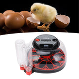 12 Eggs Incubator ABS PET Poultry Hatching Machine with Automatic Egg Turning Candling Watering Temperature Control for Chickens Goose Duck US Plug 110V