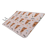 Picnic Blanket Water Proof Damp Proof Thickened Portable Foldable Picnic Mat for Outdoor Activities 200x300cm/78.74x118.11in