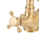 Basin Faucet Short Brass Double Handle Cold Hot Water Swivel Sink Faucet for Kitchen Bathroom