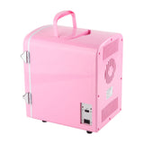 Mini Fridge 4L Portable Cooler Warmer Personal Refrigerator Includes DC12V Car Plug for Skin Care Beverage