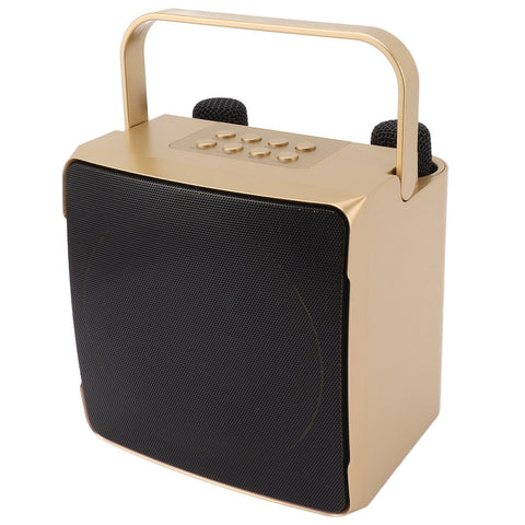 Karaoke Machine with Dual Microphone 10W Portable Bluetooth Speaker for Kids Birthday Home Party Gold In Australia - Darrahopens