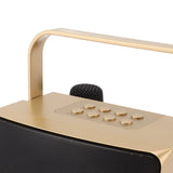 Karaoke Machine with Dual Microphone 10W Portable Bluetooth Speaker for Kids Birthday Home Party Gold In Australia - Darrahopens
