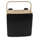 Karaoke Machine with Dual Microphone 10W Portable Bluetooth Speaker for Kids Birthday Home Party Gold In Australia - Darrahopens