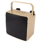 Karaoke Machine with Dual Microphone 10W Portable Bluetooth Speaker for Kids Birthday Home Party Gold