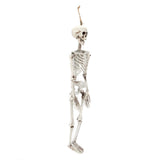 Halloween Resin Full Body Skeletons with Movable Joints for Home Costume Party Decoration PropsM In Australia - Darrahopens