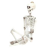 Halloween Resin Full Body Skeletons with Movable Joints for Home Costume Party Decoration PropsM In Australia - Darrahopens