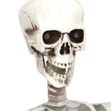 Halloween Resin Full Body Skeletons with Movable Joints for Home Costume Party Decoration PropsM