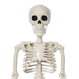 2PCS Skeleton Decorations 35.4 Inch Plastic Posable Spooky Full Body Skeleton Haunted House Prop for Outdoor Indoor Party Yard Garden Lawn Decor In Australia - Darrahopens