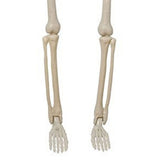 2PCS Skeleton Decorations 35.4 Inch Plastic Posable Spooky Full Body Skeleton Haunted House Prop for Outdoor Indoor Party Yard Garden Lawn Decor