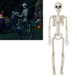 2PCS Skeleton Decorations 35.4 Inch Plastic Posable Spooky Full Body Skeleton Haunted House Prop for Outdoor Indoor Party Yard Garden Lawn Decor