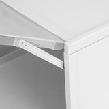 Shoes Box PP Storage Drawer Organizer Container Durable Cabinet for Home2pcs Big (33.2 x 25.8 x 18.3cm )