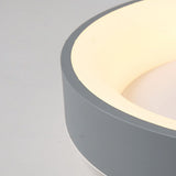 Bedroom Ceiling Light Flush Mount Dimmable LED Modern Simple Warm Romantic Lamp 100‑265V Gray 40cm In Australia - Darrahopens