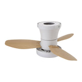25 Inch Ceiling Fan with Light and Remote Flush Mount Quiet DC Motor 6 Speeds Dimmable 3000-6500K Color Temperature Timer for Bedroom Living Room