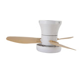 25 Inch Ceiling Fan with Light and Remote Flush Mount Quiet DC Motor 6 Speeds Dimmable 3000-6500K Color Temperature Timer for Bedroom Living Room