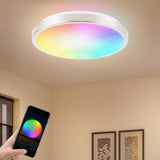 Smart Ceiling Light 11-inch 15W Flush Mount Wi-Fi Ceiling Lamp 2700K-6500K White & RGB Multicolored Dimmable Ceiling Lights Voice Control APP Control Timing Function Intelligent LED Lamps Brushed Nickel (No Hub Required)