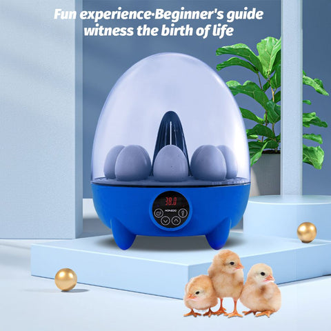 Incubators for Hatching Eggs 8 Egg Incubator with LED Light Temperature Control 360 Degree View Chicken Egg Incubators for Duck Goose Quail Bird for School/Home/Farm/Kids In Australia - Darrahopens