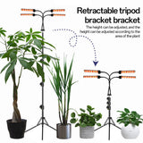 3 Heads LED Grow Lights for Indoor Plants Full Spectrum 3 Light Modes 5 Brightness 3 Timing with Height Adjustable Tripod Stand 360 Degree Gooseneck Tube Remote Controller for Plant Growth