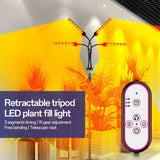 3 Heads LED Grow Lights for Indoor Plants Full Spectrum 3 Light Modes 5 Brightness 3 Timing with Height Adjustable Tripod Stand 360 Degree Gooseneck Tube Remote Controller for Plant Growth