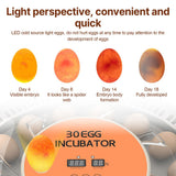 30 Eggs Incubator with Automatic Egg Turning Humidity Control Temperature Display and Egg Candler Light Cozy Incubator with External Injection Water Bottle for Hatching Chicken Bird Duck Quail Parrot Eggs