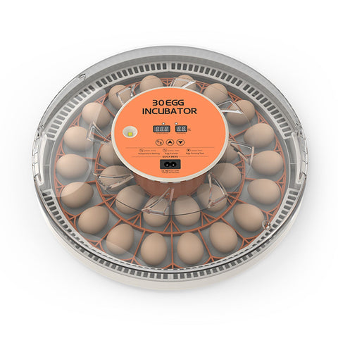 30 Eggs Incubator with Automatic Egg Turning Humidity Control Temperature Display and Egg Candler Light Cozy Incubator with External Injection Water Bottle for Hatching Chicken Bird Duck Quail Parrot Eggs