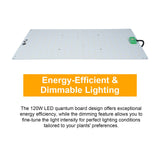 120W Dimmable Quantum Board Grow Light Full Spectrum Indoor Plant Growth Light Veg and Bloom Dual Switch Hanging Plant Growing Lamp for Seedlings Flowers Greenhouse Indoor Gardening In Australia - Darrahopens