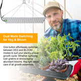 120W Dimmable Quantum Board Grow Light Full Spectrum Indoor Plant Growth Light Veg and Bloom Dual Switch Hanging Plant Growing Lamp for Seedlings Flowers Greenhouse Indoor Gardening