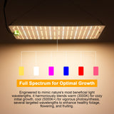 150W Dimmable Full Spectrum Indoor Plant Growth Light Quantum Board Grow Light Veg and Bloom Dual Switch Hanging Plant Growing Lamp for Seedlings Flowers Greenhouse Indoor Gardening In Australia - Darrahopens
