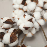 Cotton Head Wreath Decorative Dried Cotton Bolls Wreath for Front Door Wall Window Home Decor