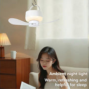 2-in-1 Camping Fan with LED Light Portable Rechargeable Battery Powered Fan with Remote for Tent, Travel, BBQ - White In Australia - Darrahopens
