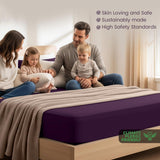 Hotel Quality Fitted Sheet - 1 Piece Fitted Sheet  -Breathable Bedding - Wrinkle, Fade, Stain Resistant- 16inch/40cm Deep Pocket Fitted Bed Sheet-Wrinkle and Fade Resistant,(Purple,Double) In Australia - Darrahopens