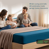 Hotel Quality Fitted Sheet - 1 Piece Fitted Sheet  -Breathable Bedding - Wrinkle, Fade, Stain Resistant- 16inch/40cm Deep Pocket Fitted Bed Sheet-Wrinkle and Fade Resistant,(Biscay blue,King) In Australia - Darrahopens