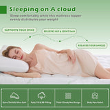 800GSM Mattress Topper Viscose Derived from Bamboo, Thick Pillowtop Fitted Mattress Cover with 45cm Deep Skirt - Machine Washable Hypoallergenic(Double,Green)