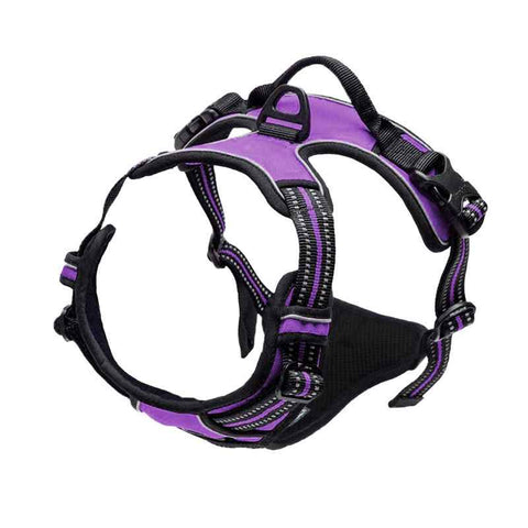 Micardi Reflective Dog Harness Vest Leash Purple