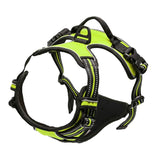 Micardi Reflective Dog Harness Vest Leash Purple