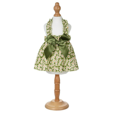Leisure Darling Pet Dog Dress Cotton Princess Style Green 14/L