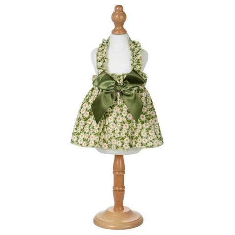 Leisure Darling Pet Dog Dress Cotton Princess Style Green 16/XL