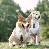 Pet Suit Dog Tuxedo Wedding little tail Polyester Light gray