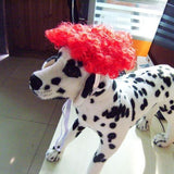 Pet Wig Dog Cat Short Curly Fluffy Hair Black