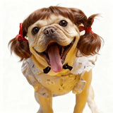 Pet Dog Wig Gold Braided Style Beautiful Si Ni Dark brown