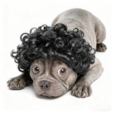 Dog Wig Funny Explosion Short Curly Hair Black