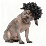 Dog Wig Funny Explosion Short Curly Hair Purple