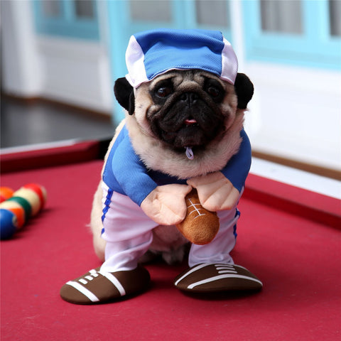Dog Costume Pet Brand Rugby Stand Up Sportswear XL In Australia - Darrahopens