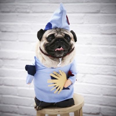 Pet Dog Costume Odd Pet Monk Outfit Polyester Jigong upright outfit L