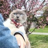 Aminger Bow Pet Collar PU Adjustable Dog Cat Blue Bow collar 1.5*47cm "adjust 37-43cm]