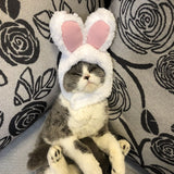 Odd Pet Cat Rabbit Ears Hat White Cloth White Rabbit Hat free size M