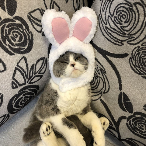 Odd Pet Cat Rabbit Ears Hat White Cloth White Rabbit Hat free size M