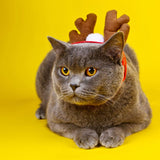 Pet Clothing Christmas Cloak Odd Pet S