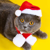 Pet Clothing Christmas Cloak Odd Pet M